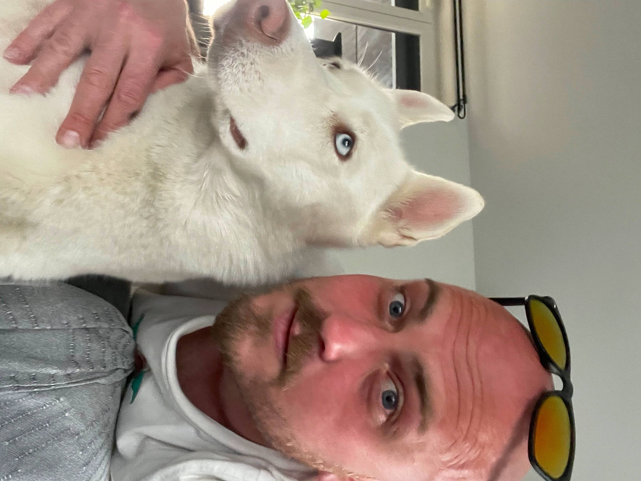 Roxy participe au concours pour gagner de l'argent avec cette photo : carnivore, cheek, ear, eye, eyebrow, eyelash, fawn, felidae, finger, forehead, gesture, hair, jaw, mouth, neck, nose, skin, snout, throat, whiskers