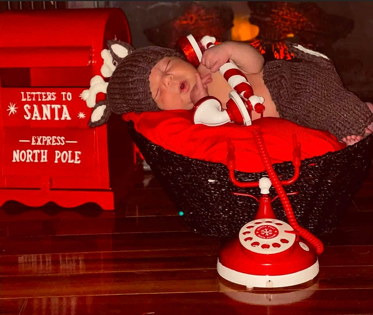 Jordan joined the competition — help win amazing prizes! carmine, christmas, christmas_decoration, christmas_eve, christmas_ornament, comfort, event, fictional_character, flooring, font, happy, hardwood, holiday, interior_design, lap, ornament, person, red, room, santa_claus