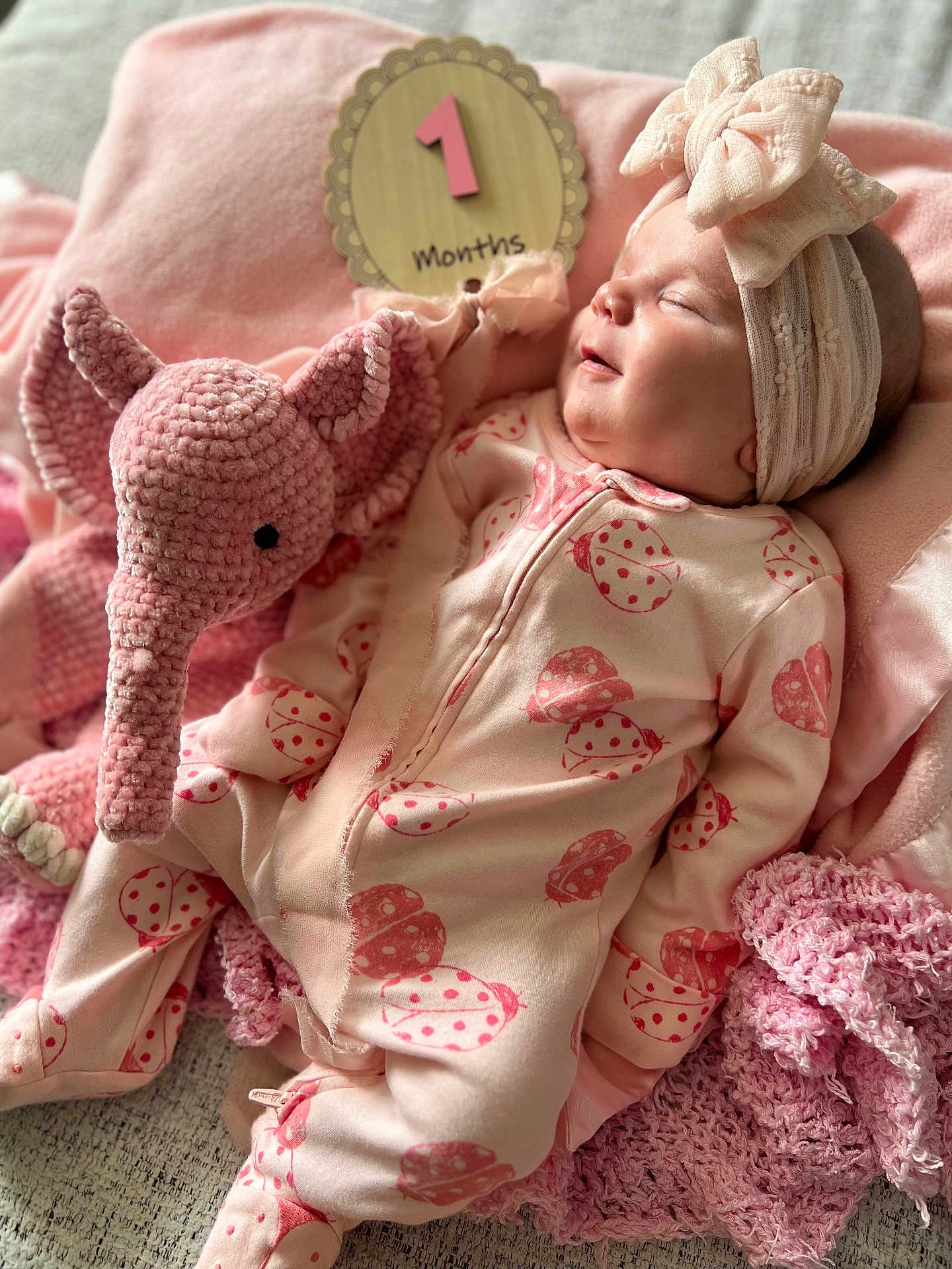 Marley is registered to the contest to win money with this photo: 1_month, baby, blanket, bow, child, cozy, crocheted, cute, elephant, headband, indoors, infant, milestone, newborn, onesie, pink, portrait, sign, sleeping, soft_toy