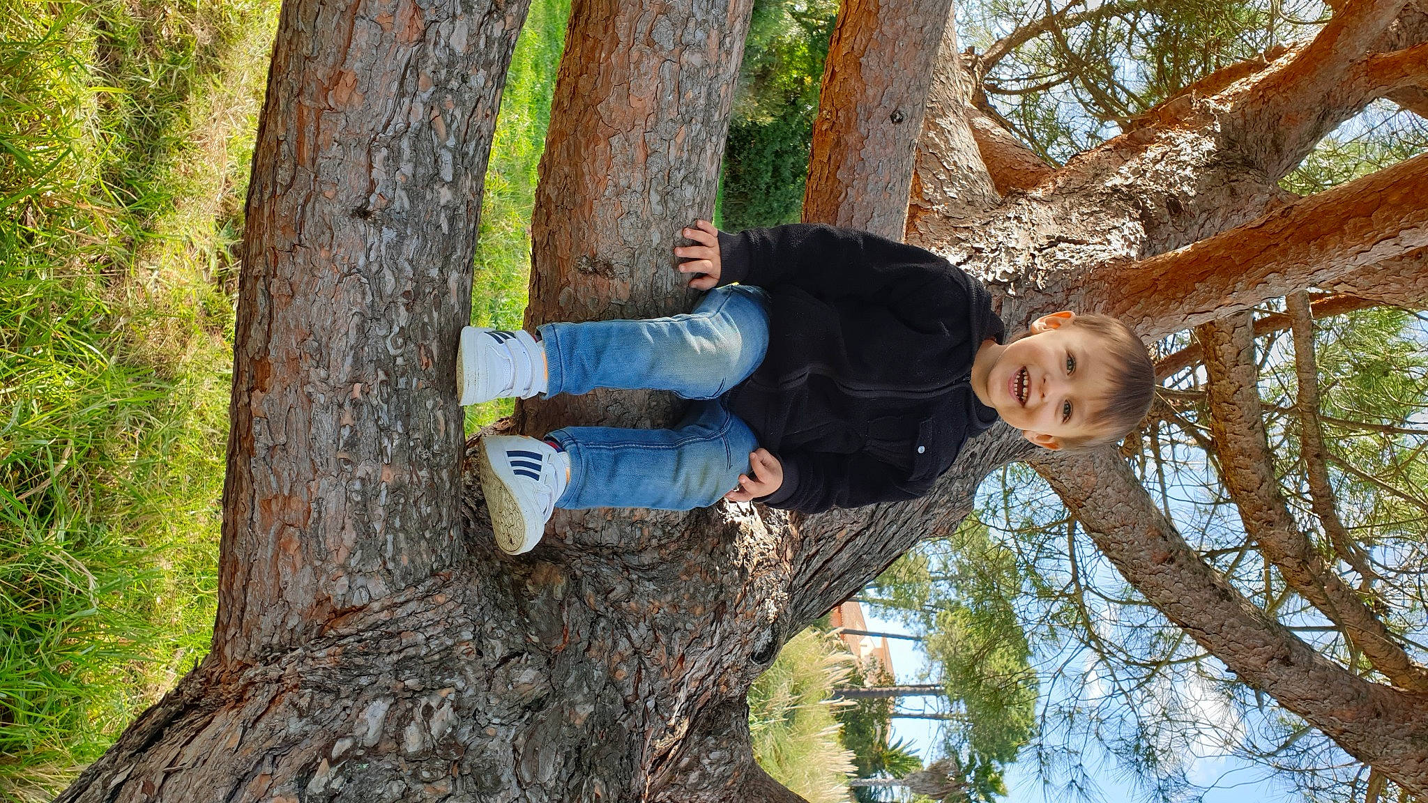 Jean-baptiste participe au concours pour gagner de l'argent avec cette photo : arm, child, clothing, deciduous, forest, fun, grass, happy, joy, leisure, mammal, northern_hardwood_forest, people_in_nature, person, plant, toddler, tree, trunk, twig, wood