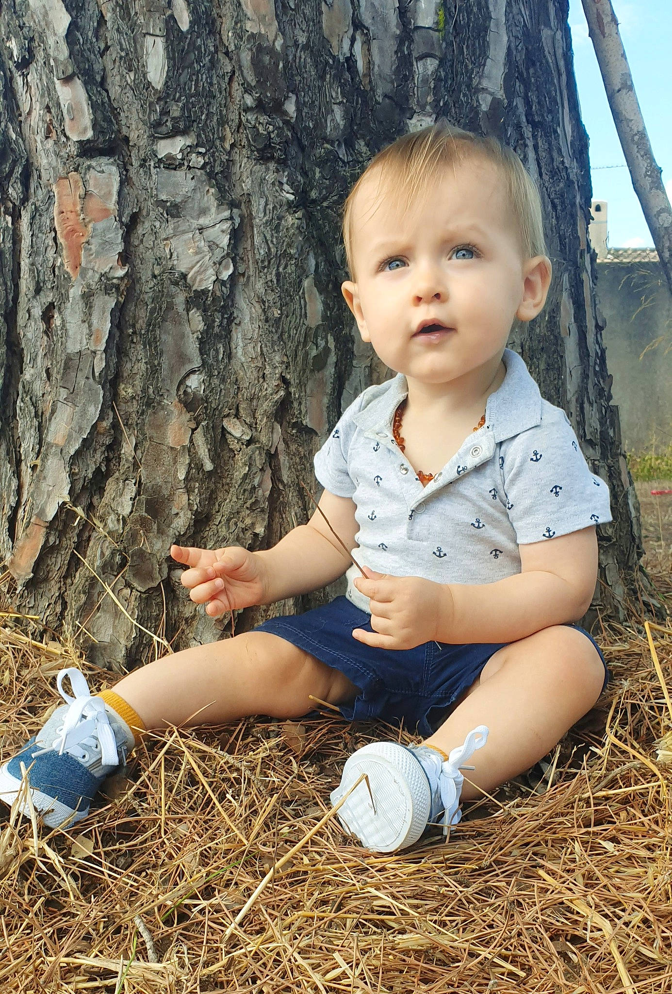 Jean-baptiste a rejoint le concours — aidez-le/la à gagner de superbes lots ! child, fawn, leg, person, plant, play, sitting, toddler, tree, trunk, wood