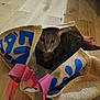 Tchoupi a rejoint le concours — aidez-le/la à gagner de superbes lots ! animal, blue_text, blurred_face, brown_floor, burlap_bag, cat, close_up, cozy, cute, domestic, fabric, feline, indoor, motion_blur, pet, pink_handles, playful, sitting, text_on_bag, wooden_floor