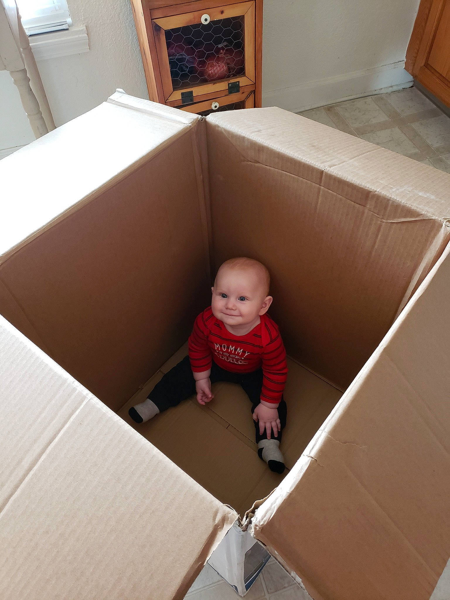 Alex is registered to the contest to win money with this photo: baby, baby_products, baby_safety, cardboard, child, drawer, floor, flooring, furniture, house, joy, person, product, room, toddler, wood