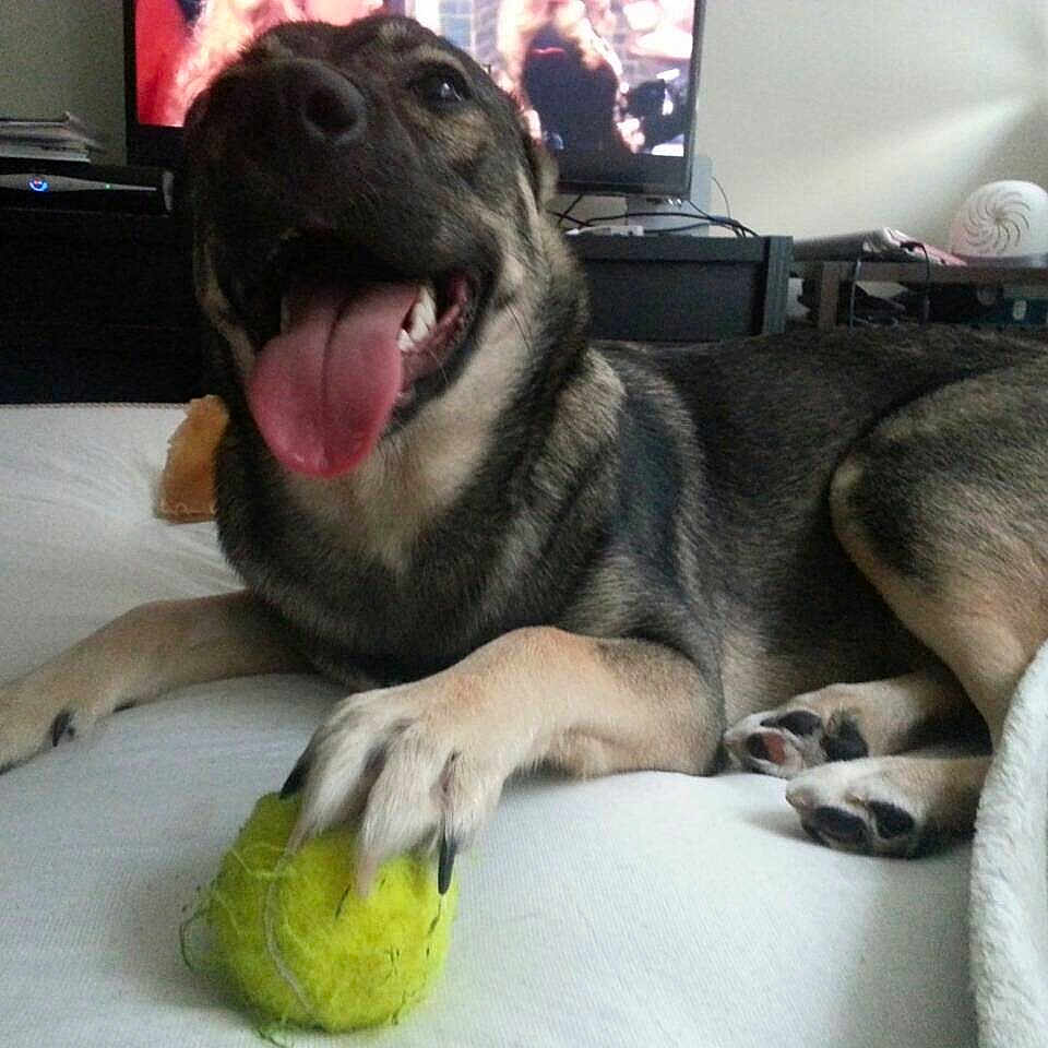 Kara joined the competition — help win amazing prizes!