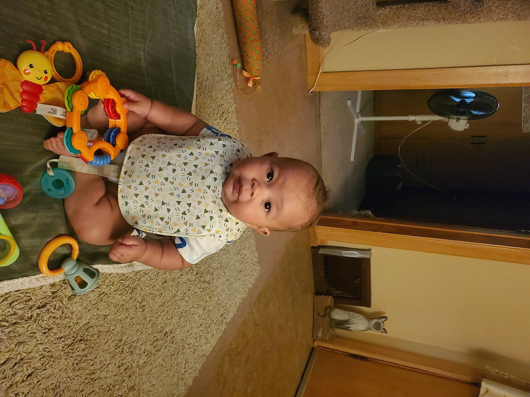 Dante Jr joined the competition — help win amazing prizes! baby, baby_products, baby_toddler_clothing, cabinetry, child, flooring, fun, hardwood, home_appliance, kitchen, kitchen_appliance, person, play, refrigerator, room, shelf, shelving, sitting, toddler, toy
