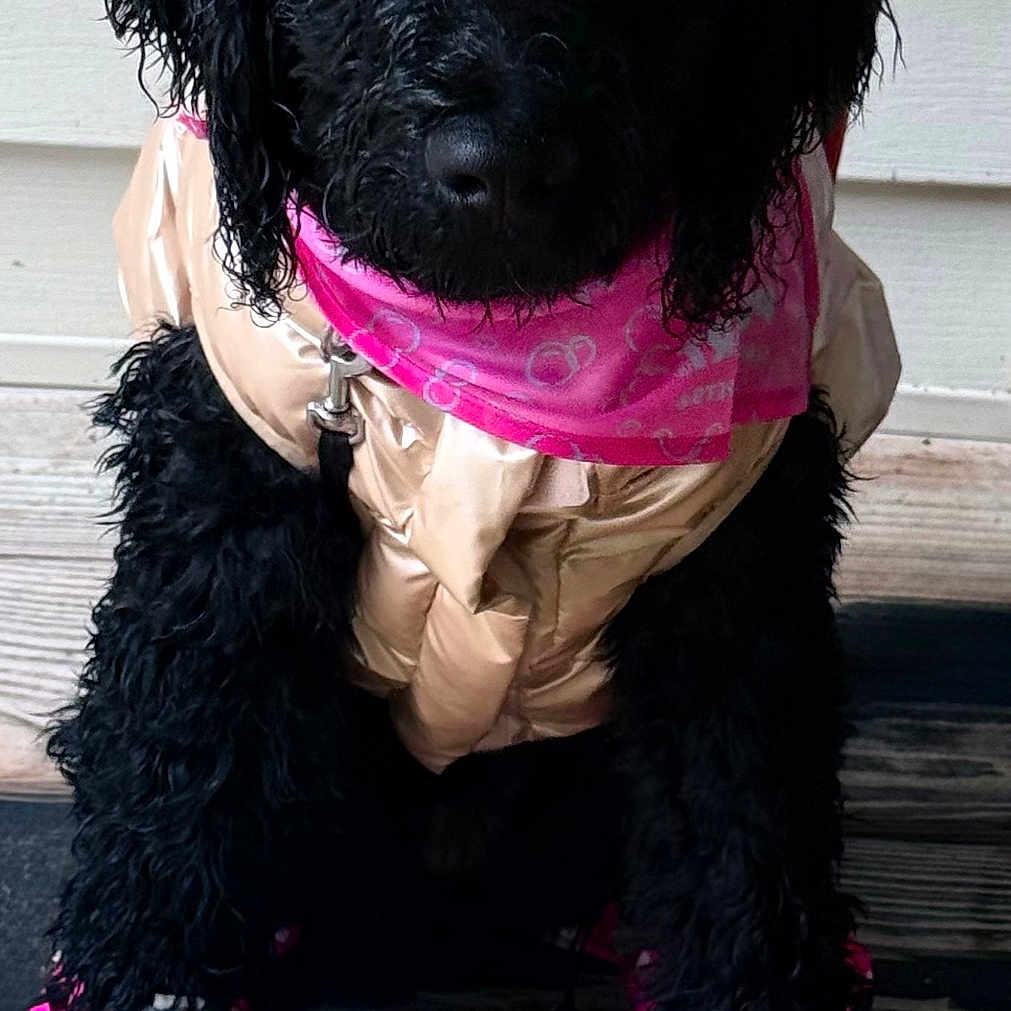 Coco