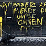 Swing participe au concours pour gagner de l'argent avec cette photo : animal, black_wall, canine, cobblestone, dog, dripping_paint, graffiti, hand, leash, mess, messy, outdoor, pavement, pet, public_space, sidewalk, street, urban, walking, yellow_paint