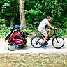 animal, bicycle, blue_shoes, casual_clothing, daylight, dog, exercise, forest, greenery, man, motion, nature, outdoor, path, pet_trailer, recreation, shorts, transport, tshirt, vehicle