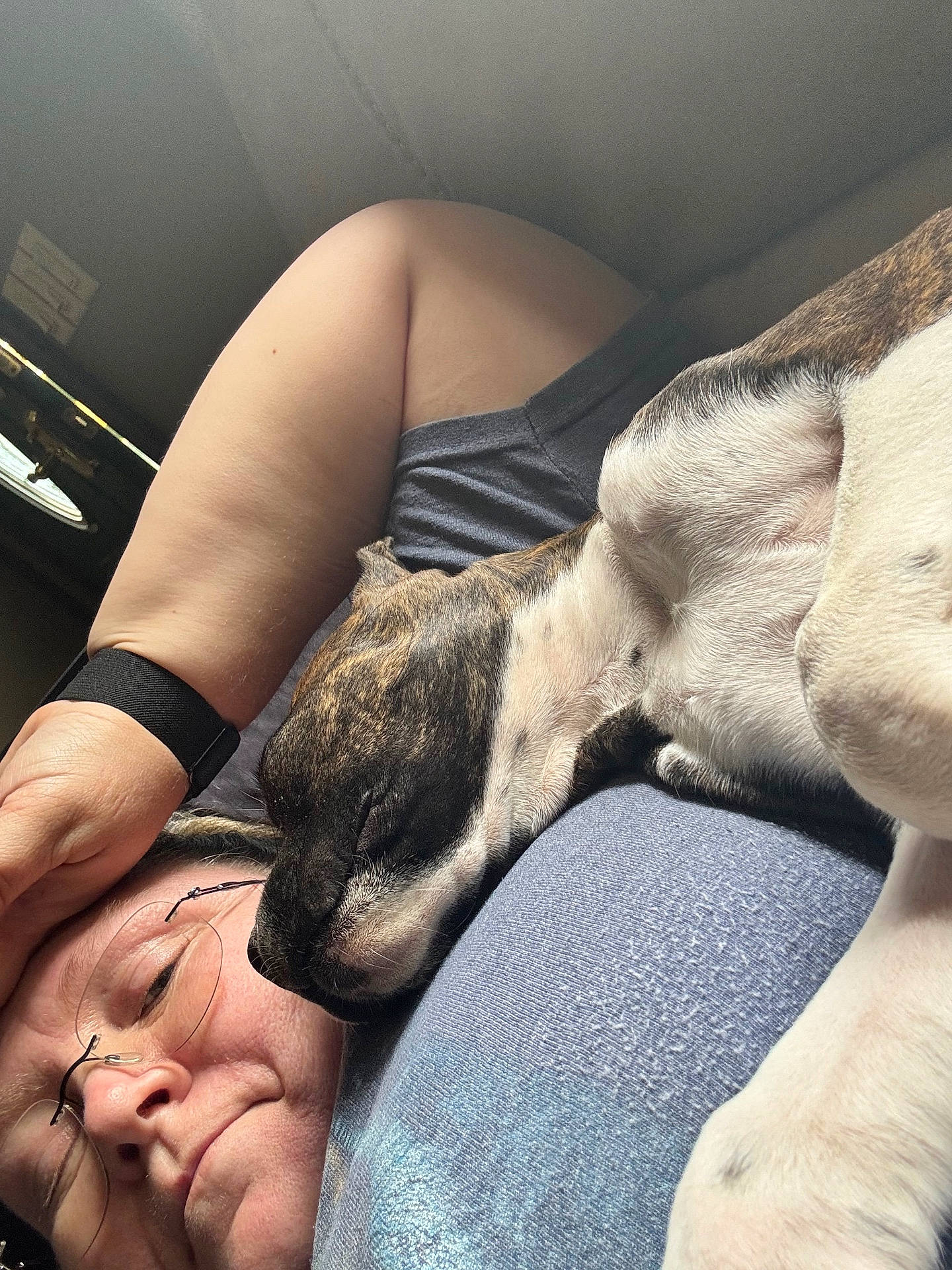 Jazmine is registered to the contest to win money with this photo: arm, bond, bracelet, casual_clothing, closeup, comfort, dog, face, furniture, glasses, head, indoor, love, person, pet, relaxation, resting, skin, sleeping_dog, snuggling
