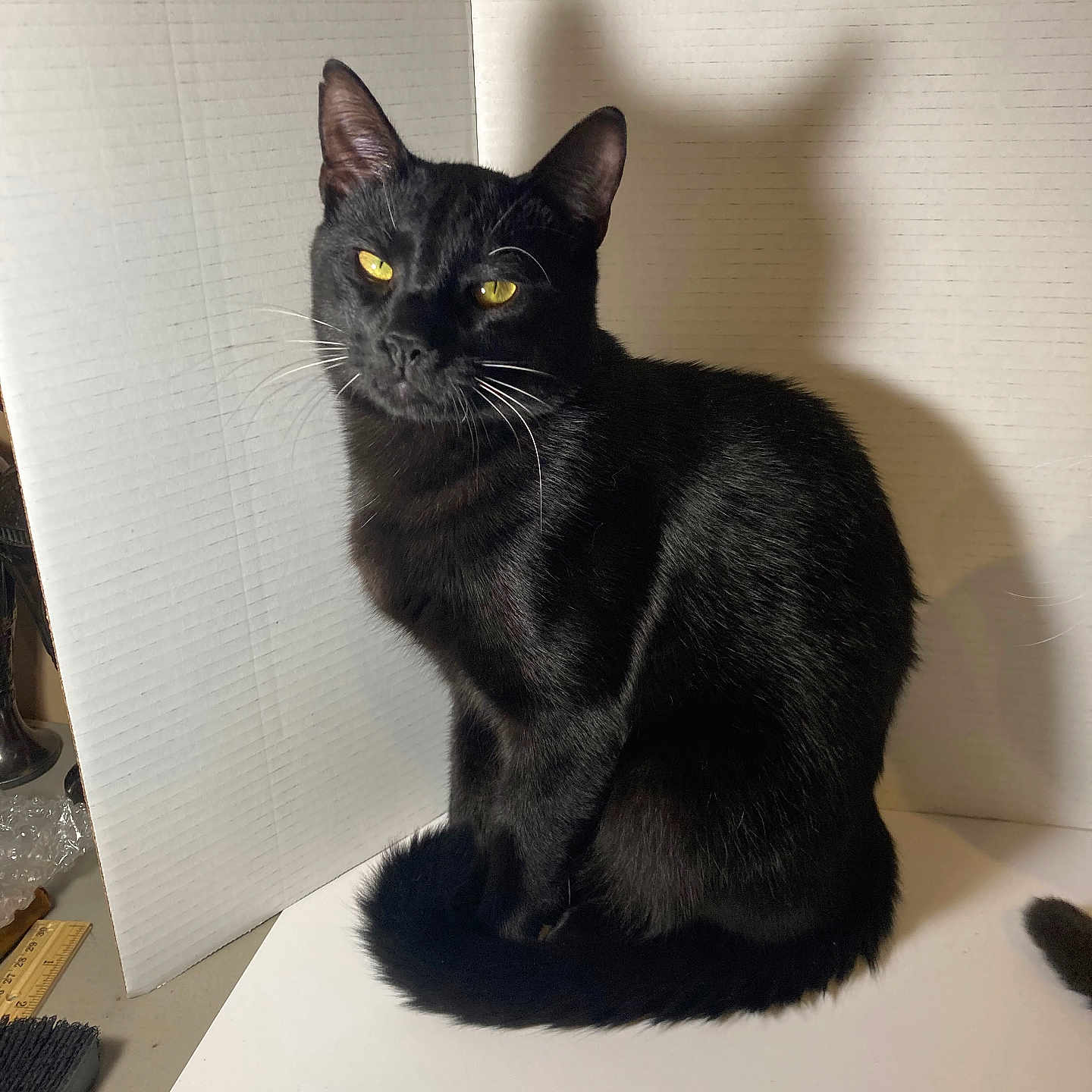 Binx