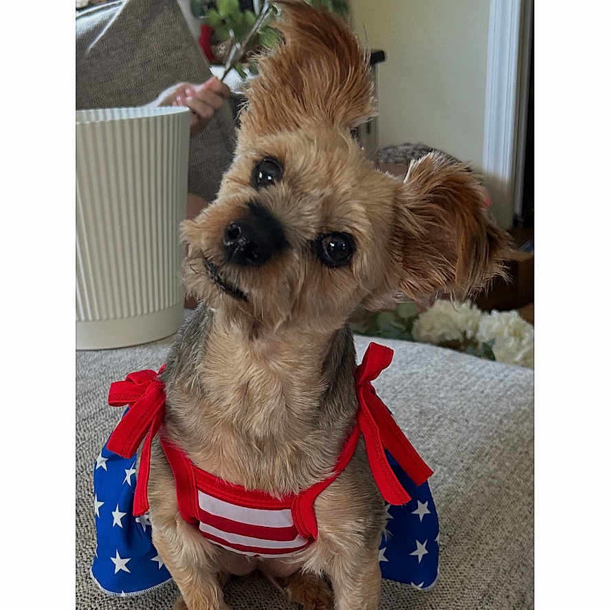 Lola