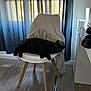 cat, black_cat, chair, jacket, curtains, indoor, wooden_floor, furniture, relaxing, pet, domestic_animal, window_light, home, cozy, resting, four_legs, animal, seat, living_space, curtain