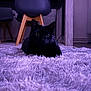 black_cat, cat, indoor, carpet, rug, furniture, chair, table, pet, animal, cozy, fluffy, purple_light, domestic, relaxed, lying_down, cute, eyes, mammal, home