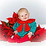 baby, child, smiling, poinsettia, red_clothing, green_clothing, holiday, festive, flower, sitting, portrait, cute, infant, happy, indoors, studio, bright, soft_light, christmas, seasonal