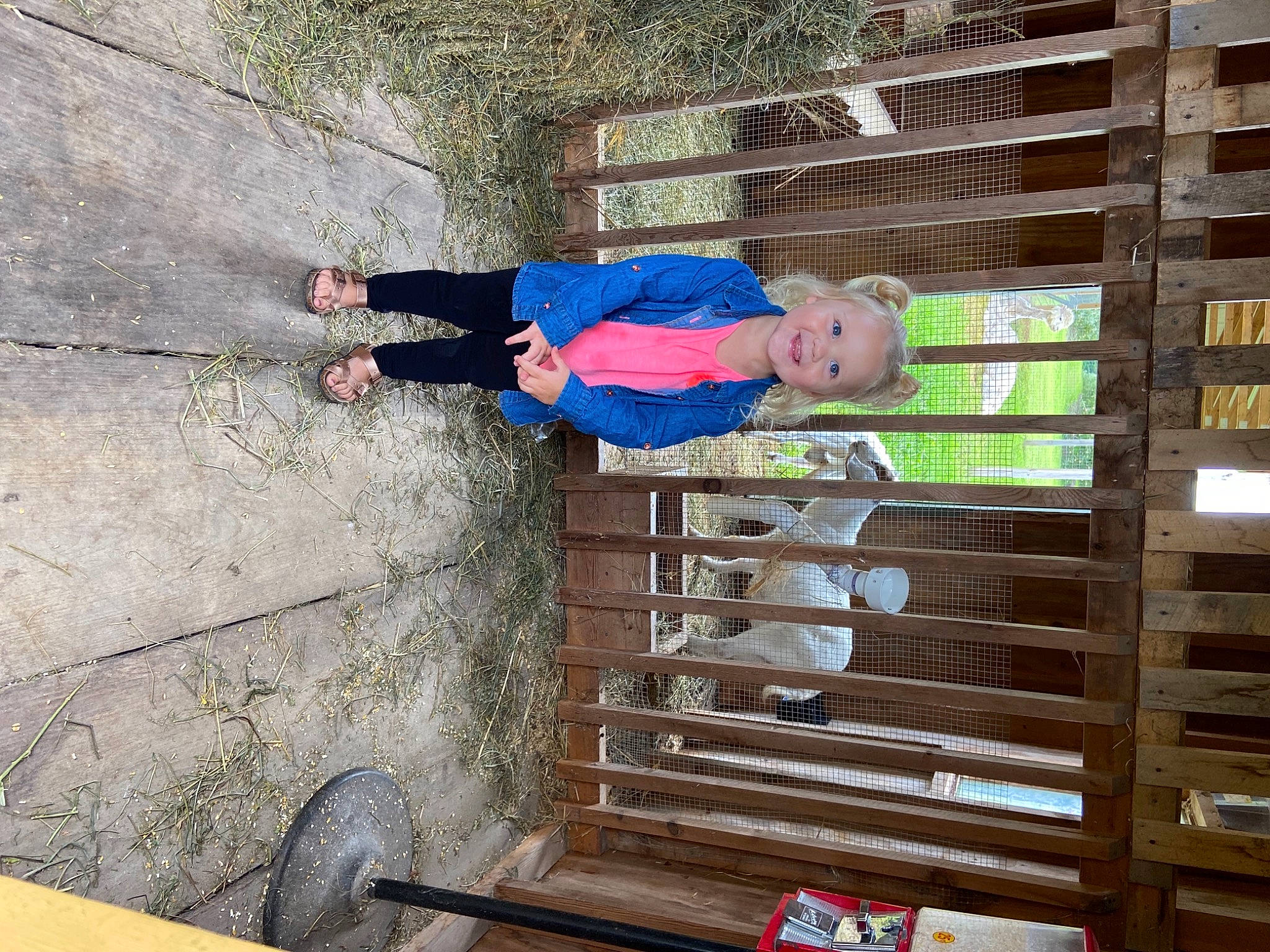 Aubree is registered to the contest to win money with this photo: baby_toddler_clothing, hardwood, joy, lumber, person, walking_shoe, wood, wood_stain