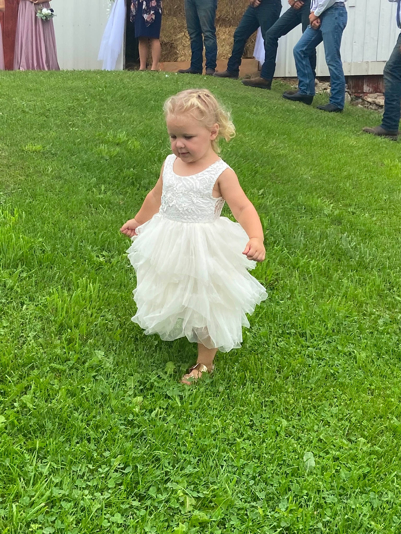 Aubree is registered to the contest to win money with this photo: baby, baby_toddler_clothing, bridal_party_dress, child, clothing, day_dress, denim, dress, embellishment, gown, grass, human, jeans, leg, one_piece_garment, person, toddler, trousers, wedding_ceremony_supply