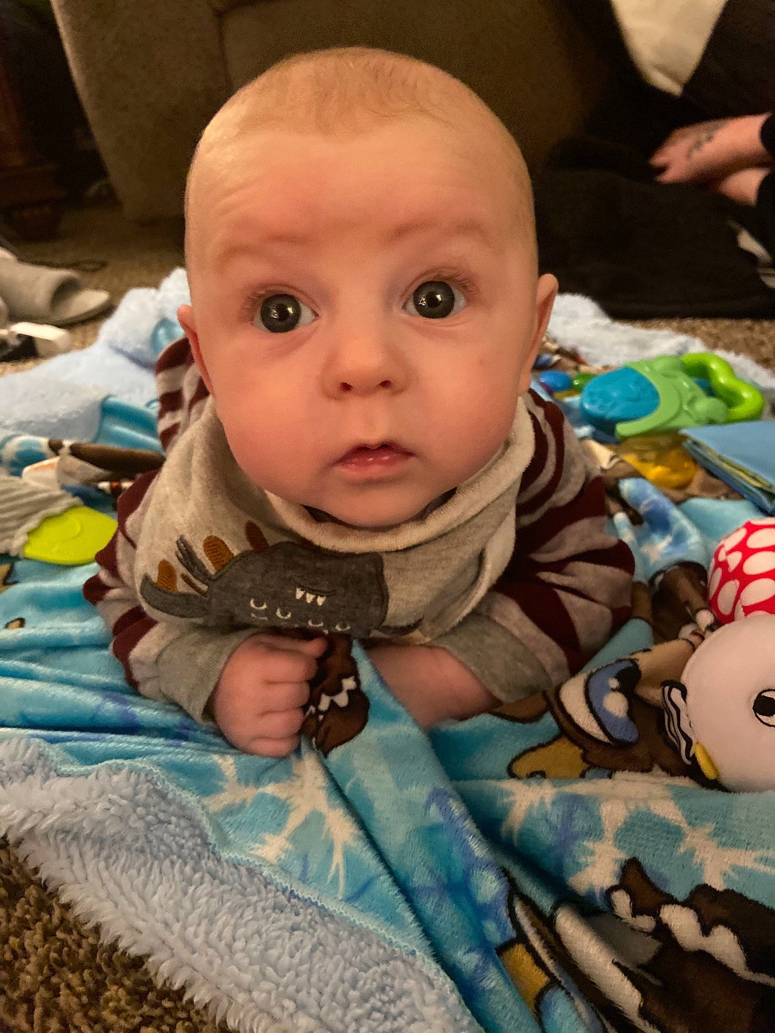 Bo joined the competition — help win amazing prizes! aqua, baby, baby_products, baby_toddler_clothing, baby_toys, blanket, cheek, child, curious, eyelash, iris, linens, person, plush, skin, stuffed_toy, surprise, toddler, toy, turquoise