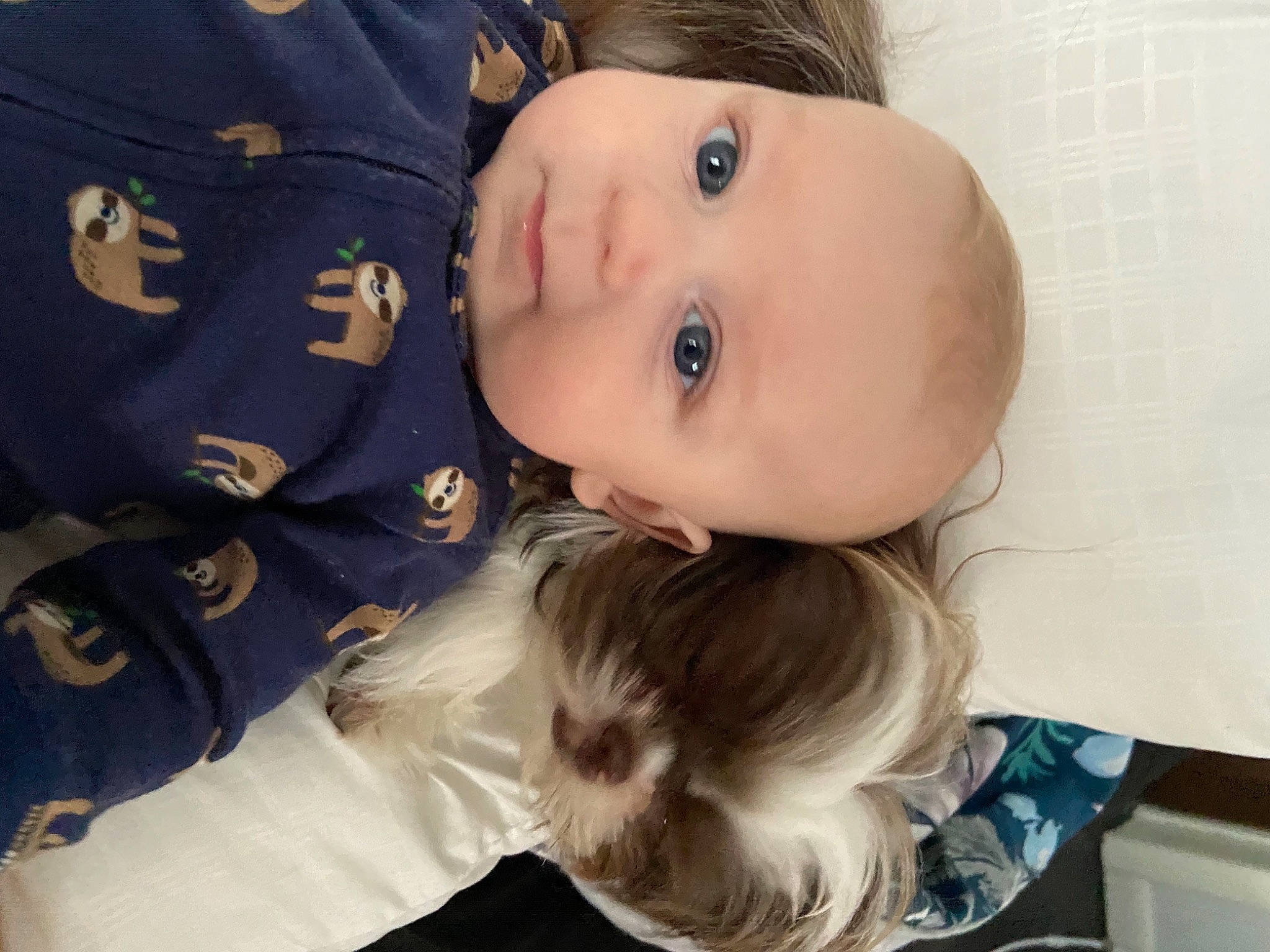 Bo is registered to the contest to win money with this photo: baby, baby_toddler_clothing, blond, brown_hair, button, cheek, child, eyelash, fur, hairstyle, human, iris, mammal, person, toddler, toy_dog