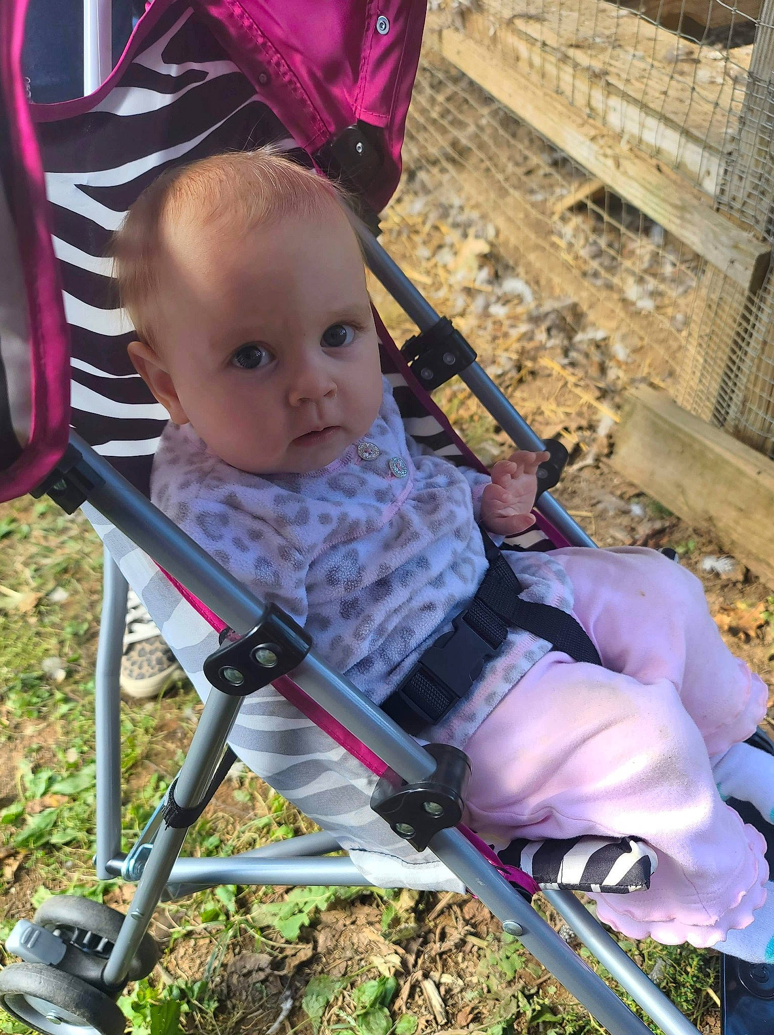 Aylin joined the competition — help win amazing prizes! baby_carriage, baby_products, child, person, product, toddler