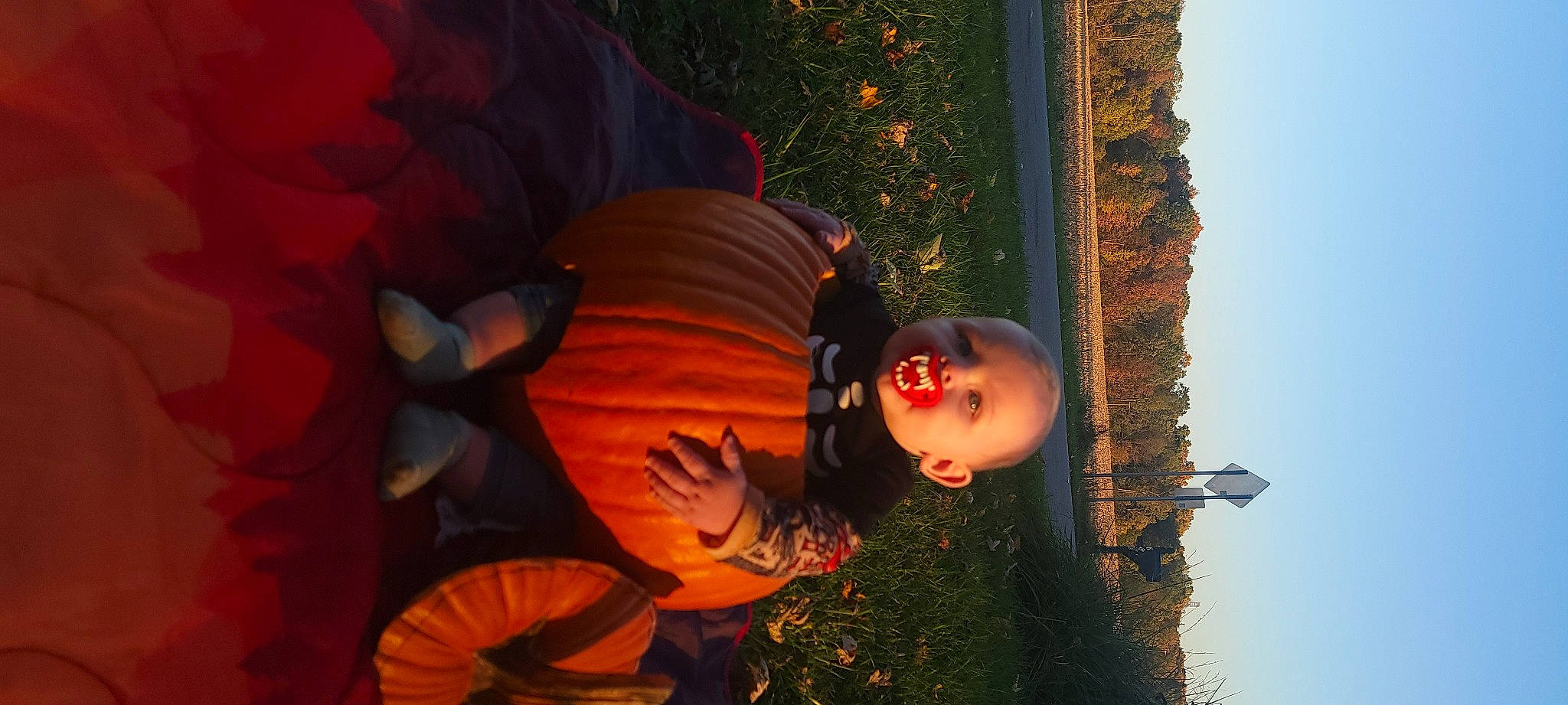 Caysen joined the competition — help win amazing prizes! calabaza, cg_artwork, cucurbita, dress, fun, gourd, grass, happy, jack_o_lantern, orange, people_in_nature, person, petal, plant, pumpkin, squash, tree, trick_or_treat, vegetable, winter_squash