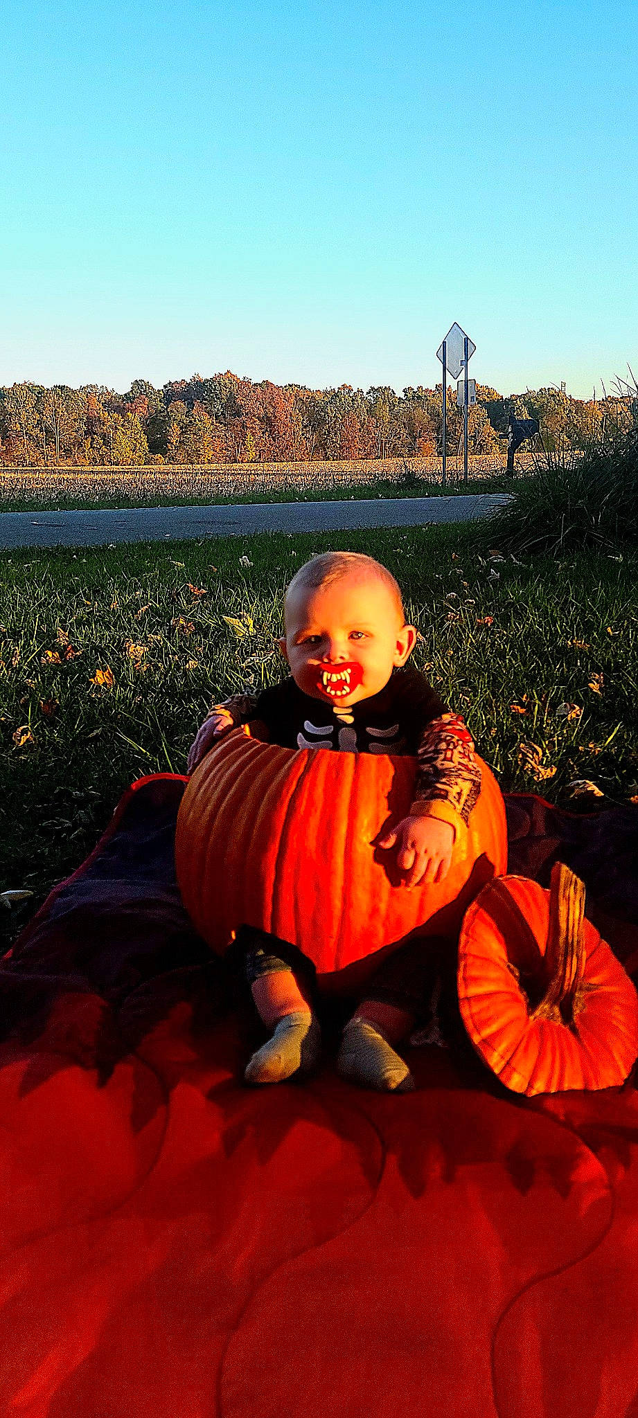 Caysen is registered to the contest to win money with this photo: calabaza, cucurbita, fun, grass, happy, landscape, leaf, leisure, morning, orange, people_in_nature, person, plant, pumpkin, sky, tints_and_shades, toddler, travel, tree, vegetable