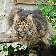 Haretha a rejoint le concours — aidez-le/la à gagner de superbes lots !