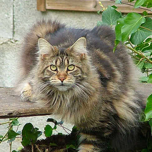 Haretha a rejoint le concours — aidez-le/la à gagner de superbes lots !