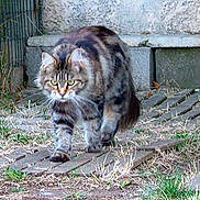 Anthinea a rejoint le concours — aidez-le/la à gagner de superbes lots !