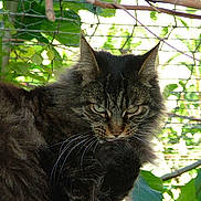 Soledad a rejoint le concours — aidez-le/la à gagner de superbes lots !