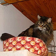 Odanak participe au concours pour gagner de l'argent avec cette photo :