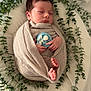 Sina participe au concours pour gagner de l'argent avec cette photo : newborn, baby, sleeping, swaddled, blanket, greenery, leaves, soft, white, decorative, hands, feet, peaceful, cozy, portrait, infant, closeup, indoor, cute, resting