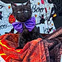 black_kitten, purple_bow_tie, orange_blanket, brown_blanket, halloween_theme, spooky, boo_text, netting, cute, pet, fur, animal, indoors, decorations, holiday, costume, portrait, sitting, small, feline