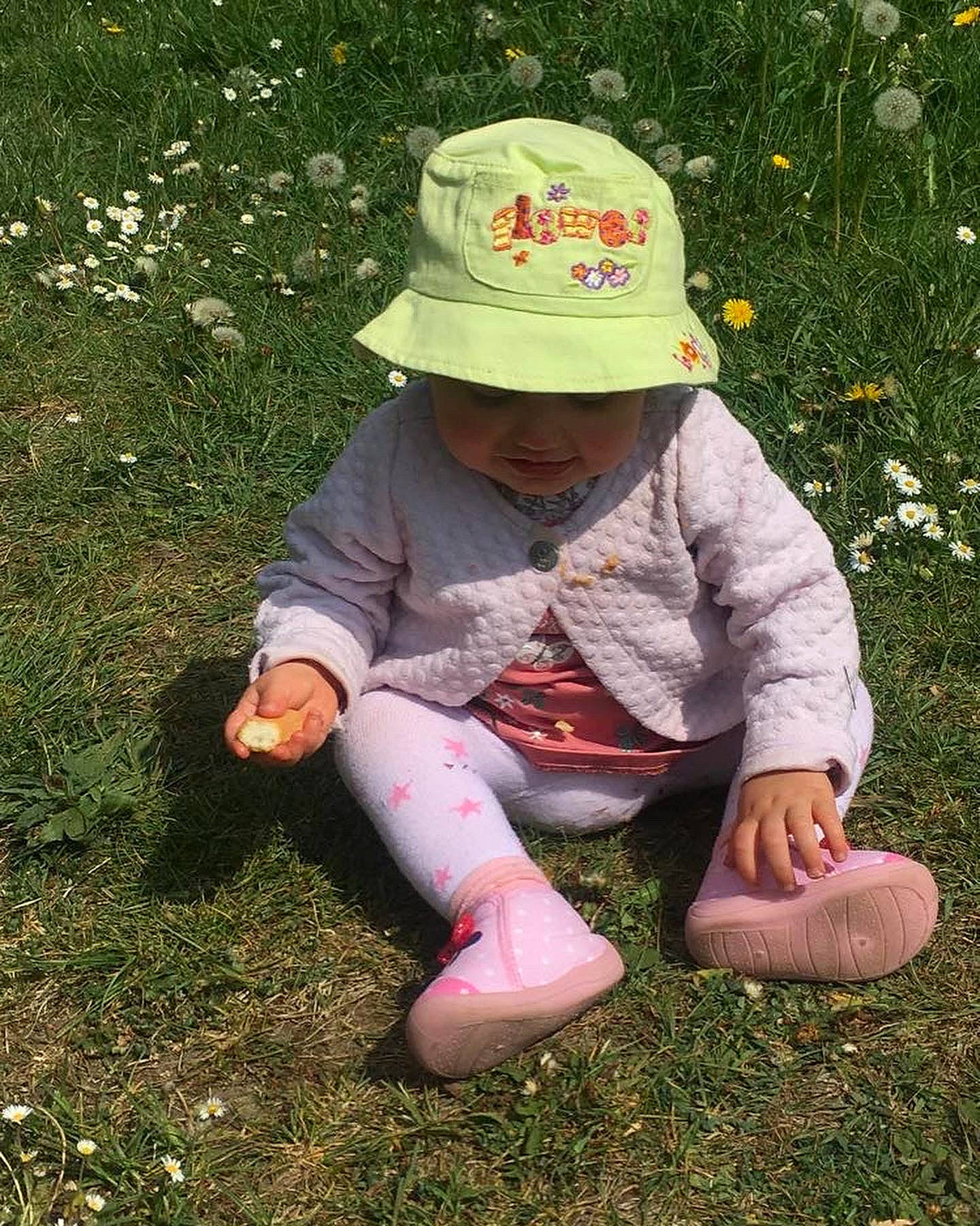 Mylena participe au concours pour gagner de l'argent avec cette photo : baby, baby_toddler_clothing, baseball_cap, cap, flower, fun, grass, grass_family, grassland, groundcover, hand, happy, hat, headwear, lawn, people_in_nature, person, petal, plant, sitting
