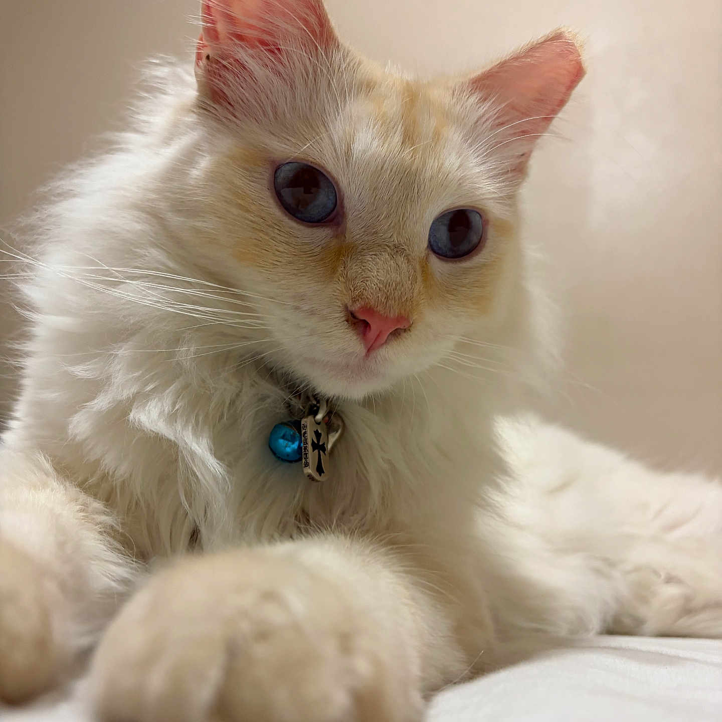Yuki