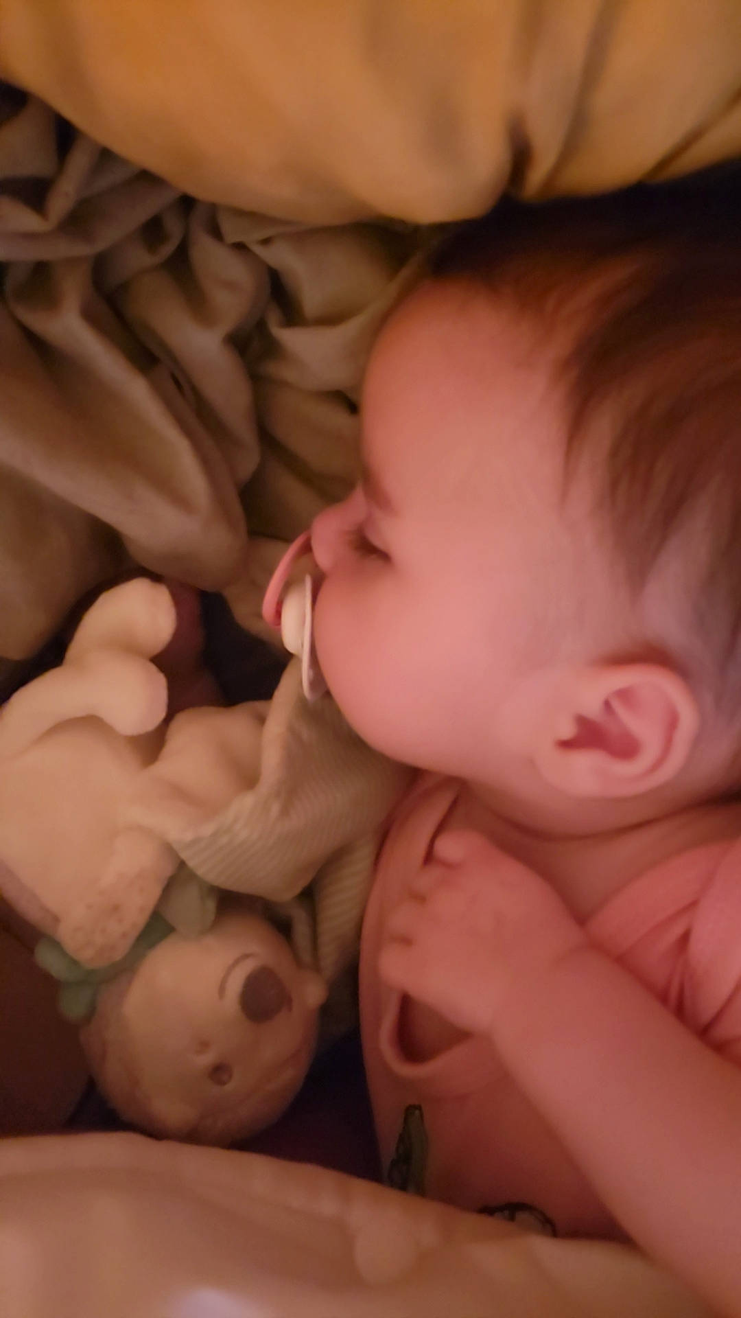 Elysa a rejoint le concours — aidez-le/la à gagner de superbes lots ! arm, baby, cheek, chin, comfort, ear, eye, eyebrow, eyelash, face, gesture, hair, hand, human_body, iris, lip, mouth, neck, nose, person