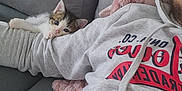 Boyka a rejoint le concours — aidez-le/la à gagner de superbes lots ! kitten, cat, person, arm, hoodie, couch, blanket, indoor, relaxing, cozy, pet, feline, resting, grey, pink, cute, small, comfort, casual, home