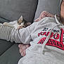 kitten, cat, person, arm, hoodie, couch, blanket, indoor, relaxing, cozy, pet, feline, resting, grey, pink, cute, small, comfort, casual, home