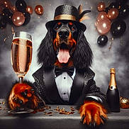Japsie a rejoint le concours — aidez-le/la à gagner de superbes lots ! balloons, black_and_orange, bottle, celebration, champagne_glass, confetti, dog, drink, festive, formal_wear, fur, indoor, party, paw, portrait, smiling, table, tongue_out, top_hat, tuxedo