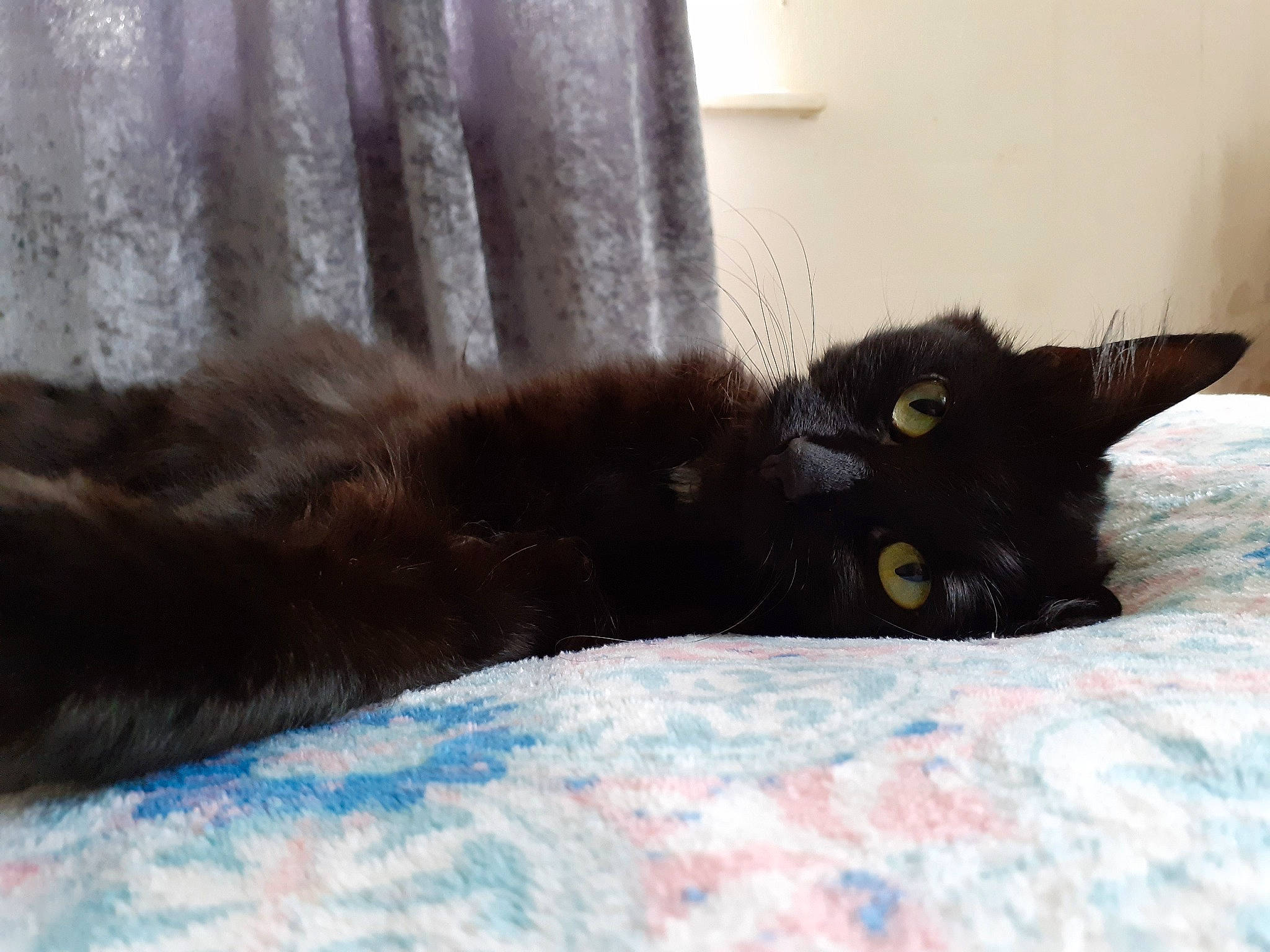 Cherokee is registered to the contest to win money with this photo: