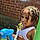 Kordell