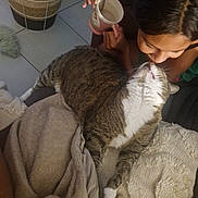Gucci participe au concours pour gagner de l'argent avec cette photo : cat, person, kiss, tabby_cat, blanket, mug, floor, tile, hand, fur, comfort, indoor, cozy, affection, relaxation, stretching, home, brown, white, face