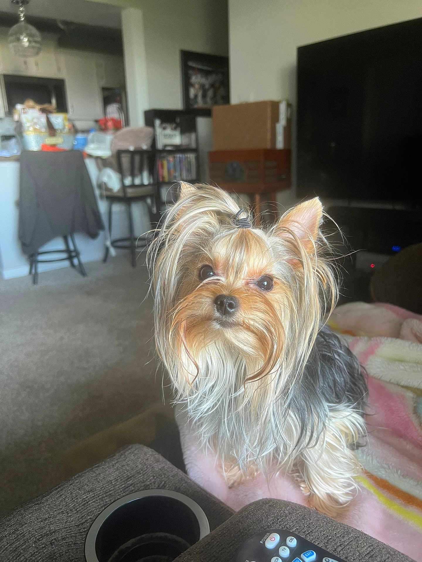 Lucy Lou