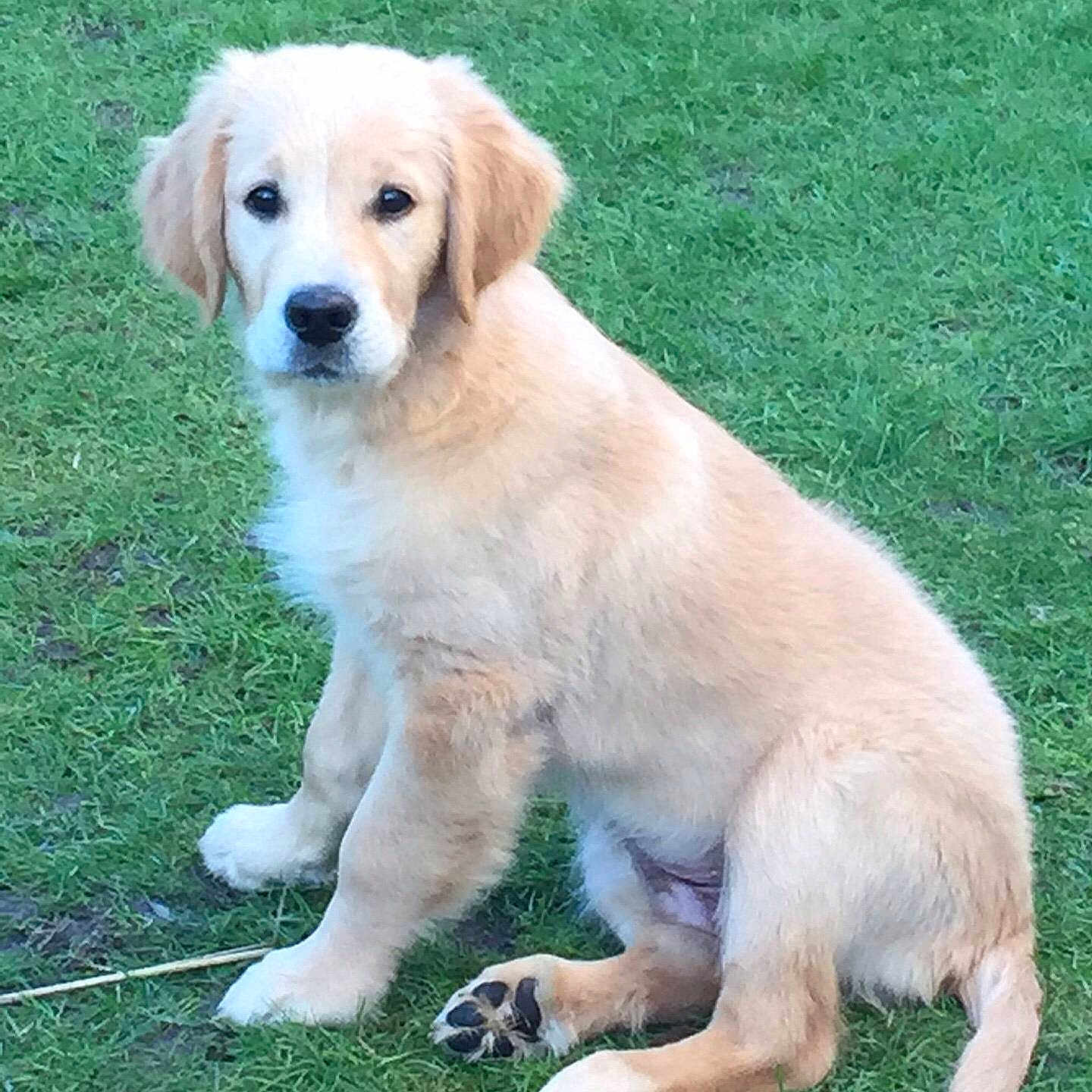 Raphael joined the competition — help win amazing prizes!