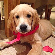 Raphael is registered to the contest to win money with this photo: