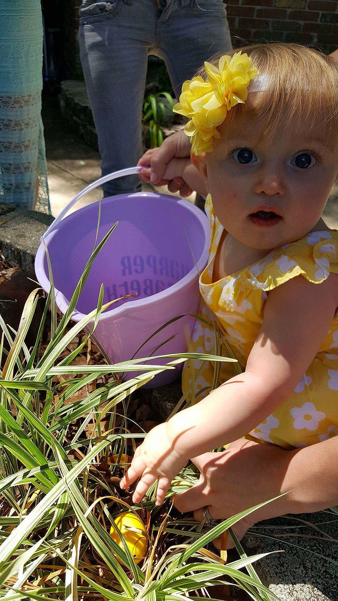 Harper joined the competition — help win amazing prizes! child, dress, flower, grass, season, spring, toddler