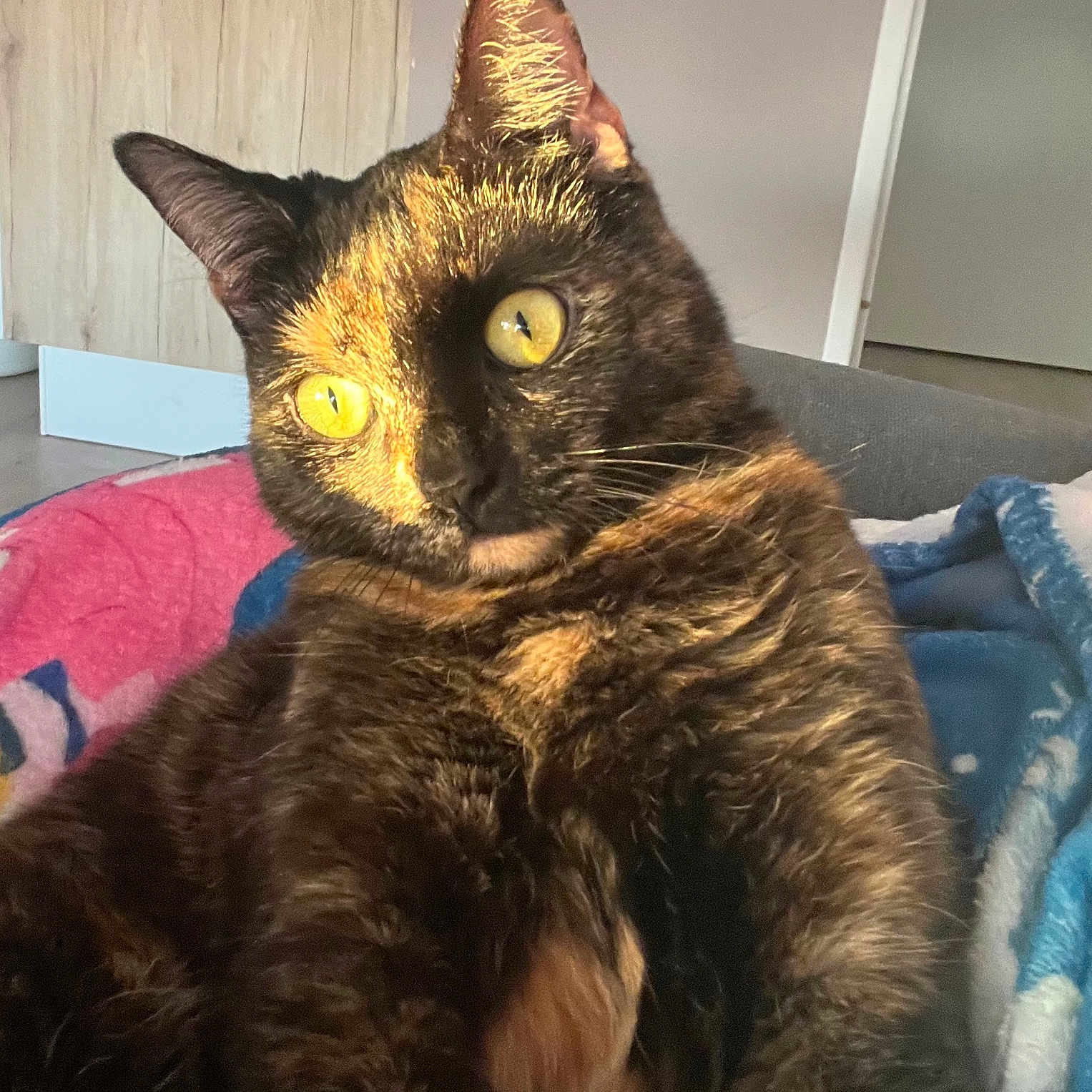 Hera