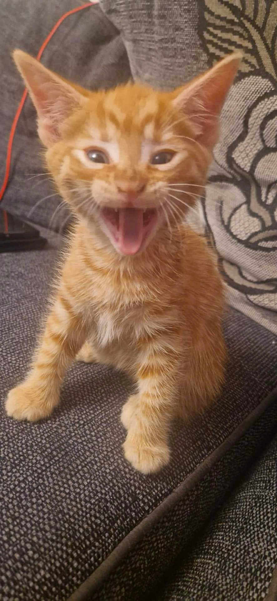 Charlie