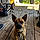 Wiley