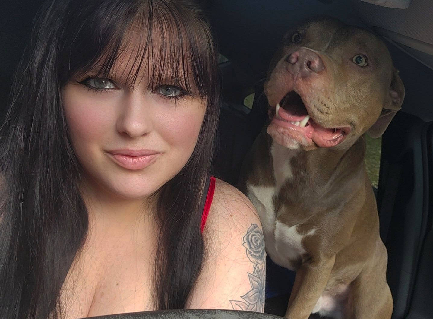 Zeus is registered to the contest to win money with this photo: bangs, black_hair, carnivore, dog, dog_breed, eyelash, fawn, flash_photography, gesture, happy, iris, jaw, layered_hair, lip, mouth, nose, organ, skin, smile, step_cutting