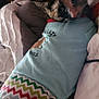 cat, pet, pajamas, bed, blanket, fur, indoor, cozy, animal, relaxing, sleepwear, colorful, zigzag_pattern, curious, whiskers, ears, cute, domestic, resting, soft_lighting